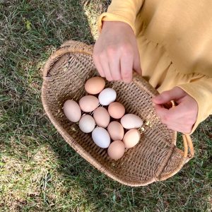 Pastured Eggs