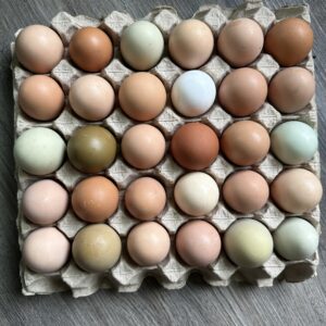 Egg Flat - 30 count flat